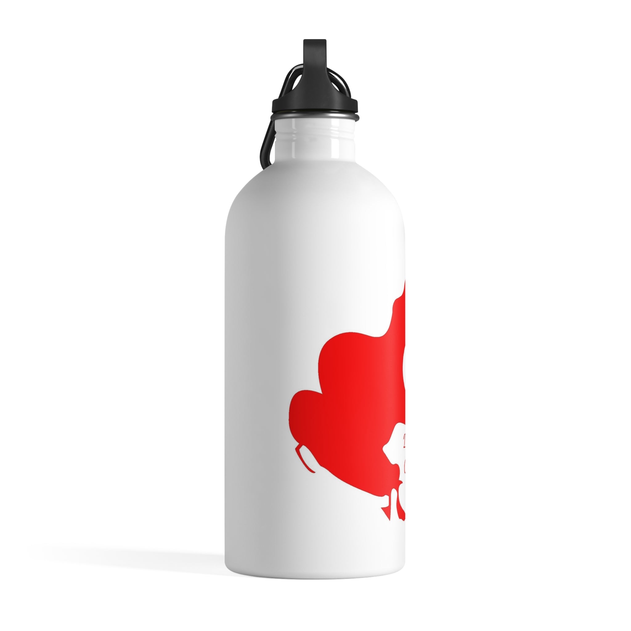 Stainless Steel Diamond Lake Water Bottle