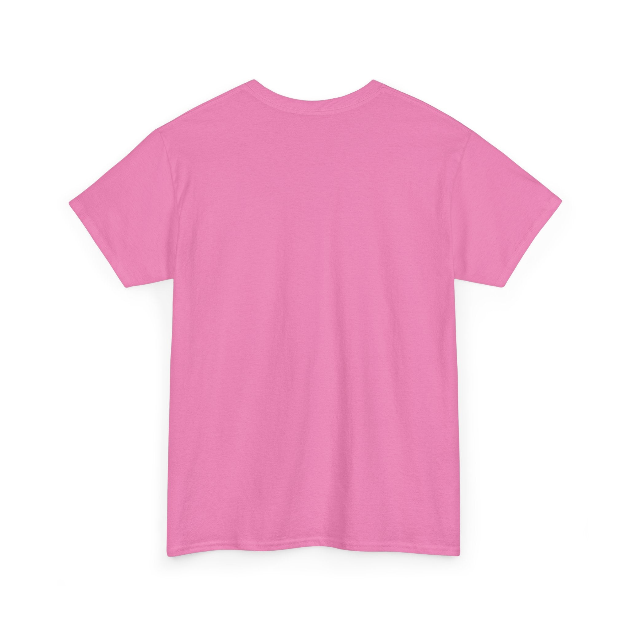 Drinks Well with Others- Diamond Lake T-Shirt