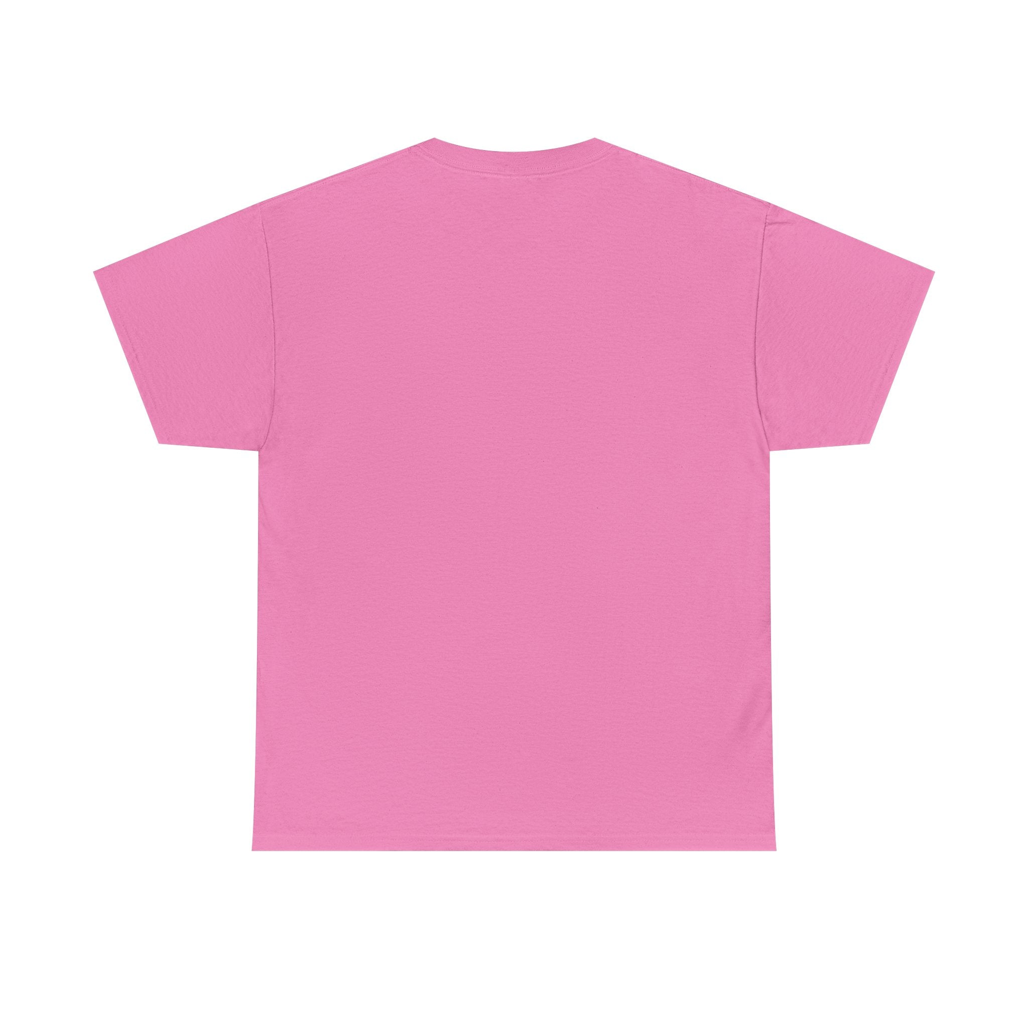 Drinks Well with Others- Diamond Lake T-Shirt